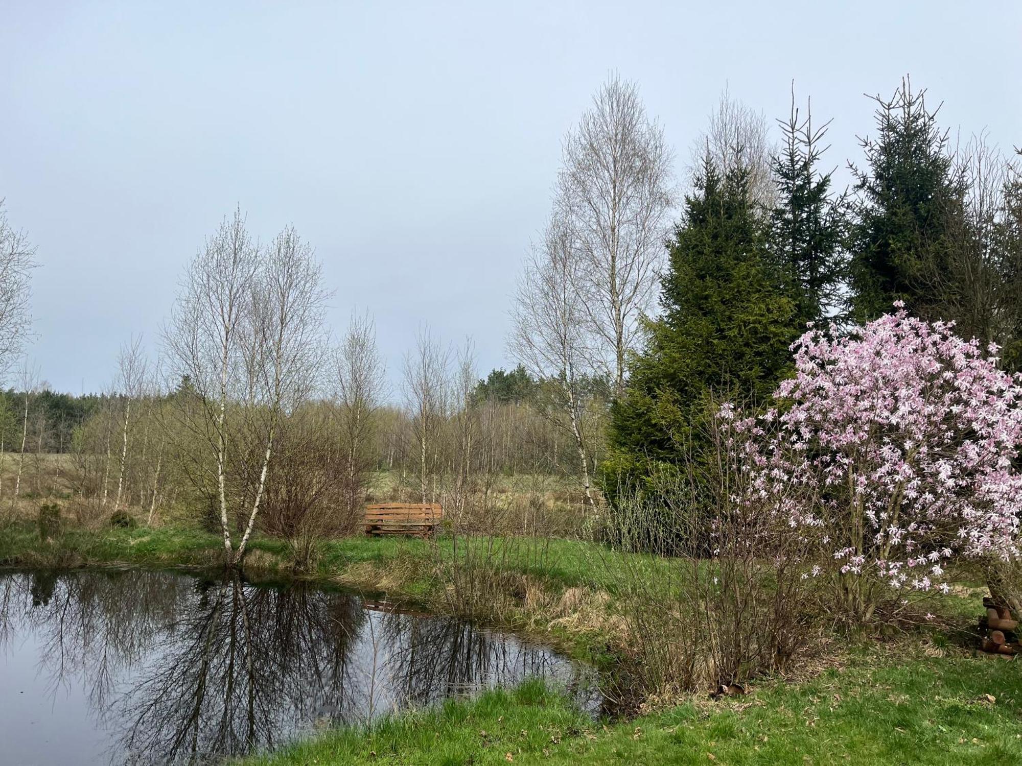 Drewniany Dom W Cudownej Okolicy "Twoja Ostoja" Villa Brusy Buitenkant foto